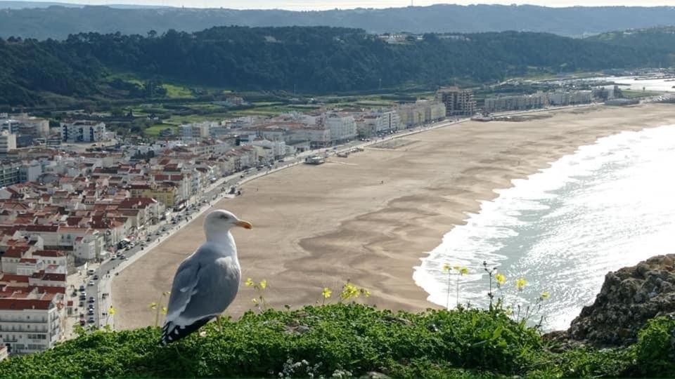 West coast dream Nazare Villa Exterior foto